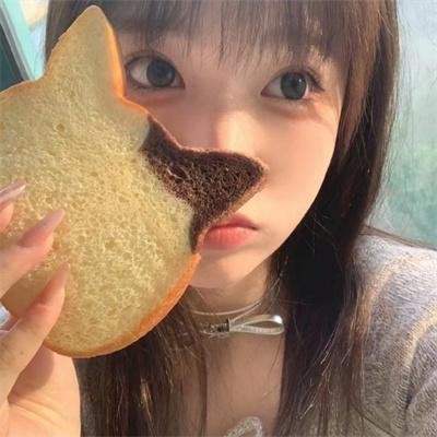 狐狸的故事